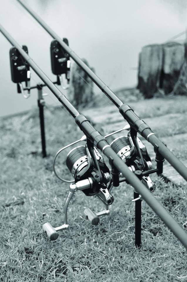 ::::::::LIKE:::::::: - 10444875450842388606821783903599n.jpg